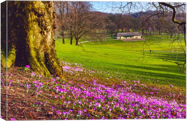 Leeds Roundhay Park Canvas Print by Alison Chambers