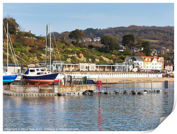 Winter Harbour at Lyme Regis Print by Susie Peek