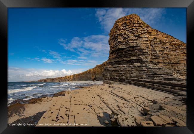 Heritage Coast South Wales Framed Print by Terry Brooks