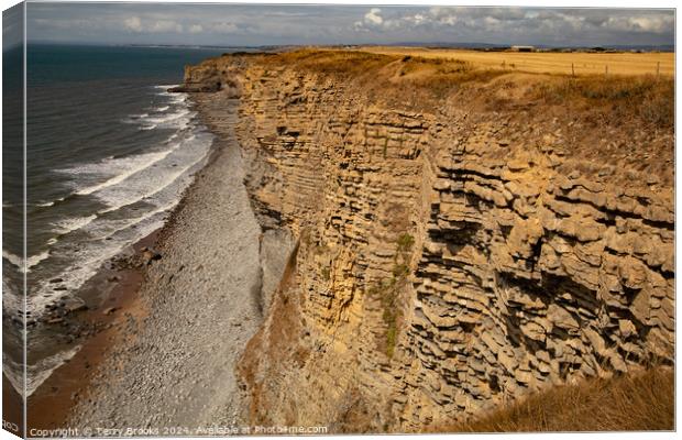 Heritage Coast South Wales Canvas Print by Terry Brooks