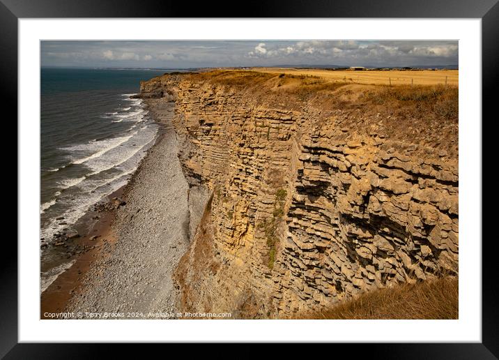 Heritage Coast South Wales Framed Mounted Print by Terry Brooks