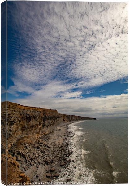Heritage Coast South Wales Canvas Print by Terry Brooks