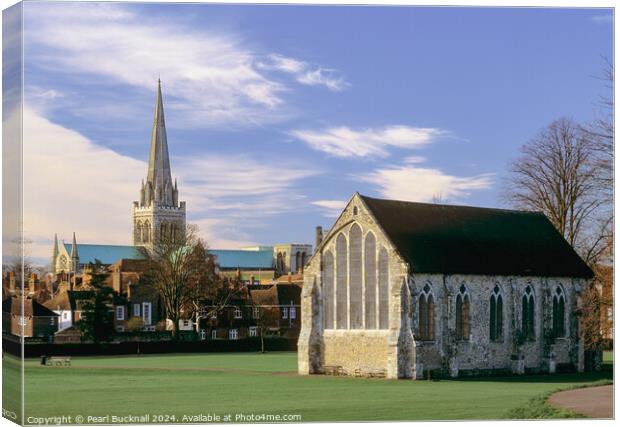 View from Priory Park Chichester West Sussex Canvas Print by Pearl Bucknall