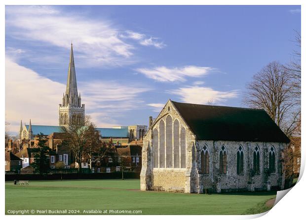 View from Priory Park Chichester West Sussex Print by Pearl Bucknall