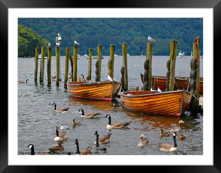 Rowing boats moored on Windermere. Framed Mounted Print by Phil Brown