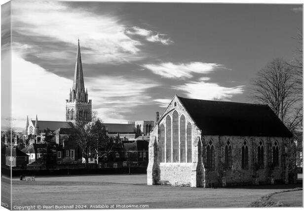 Priory Park Chichester West Sussex Black and White Canvas Print by Pearl Bucknall