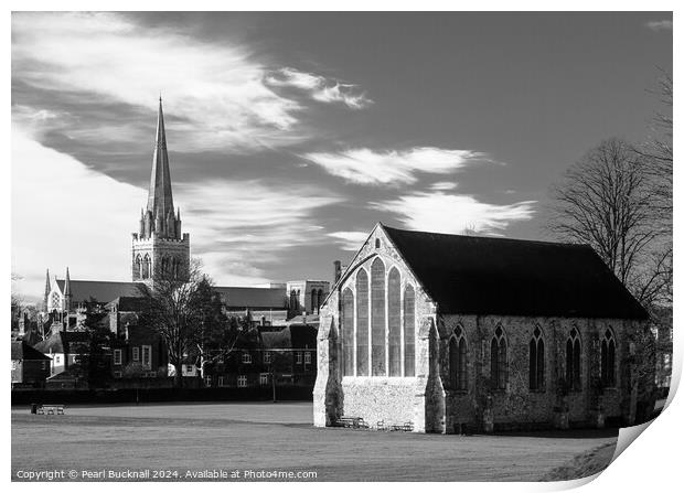 Priory Park Chichester West Sussex Black and White Print by Pearl Bucknall