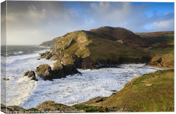 Soar Mill Cove Canvas Print by Andrew Ray