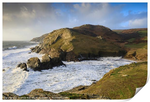 Soar Mill Cove Print by Andrew Ray