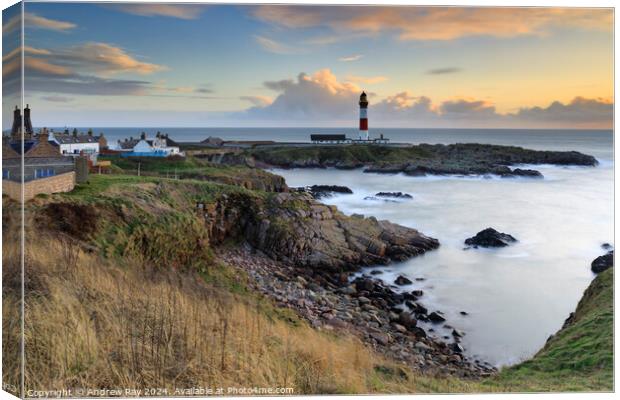 Early morning at Buchan Ness Lighthouse (Boddam) Canvas Print by Andrew Ray