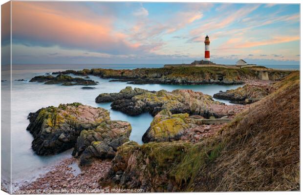 Buchan ness Lighthouse at sunset (Boddam)  Canvas Print by Andrew Ray