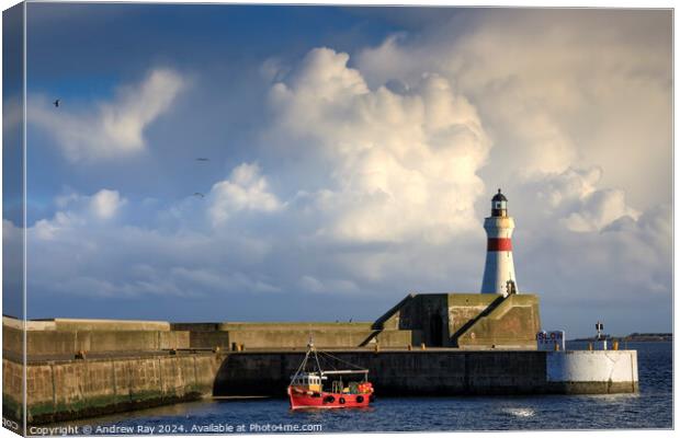 Fraserburgh Harbour Lighthouse Canvas Print by Andrew Ray
