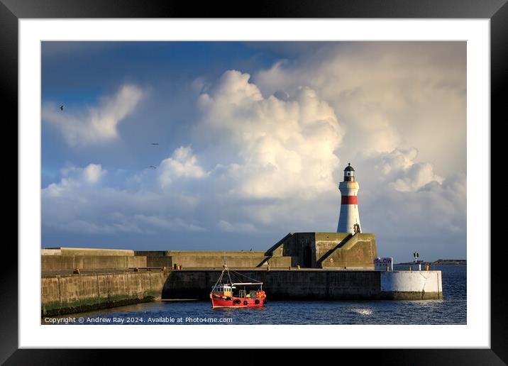 Fraserburgh Harbour Lighthouse Framed Mounted Print by Andrew Ray