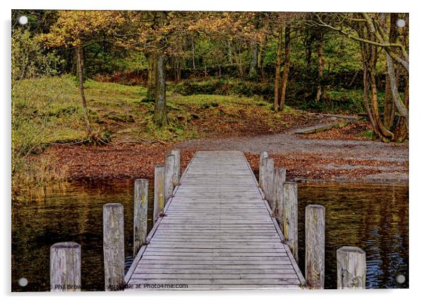 Rigg Wood jetty Coniston Water, Lake District, Cum Acrylic by Phil Brown
