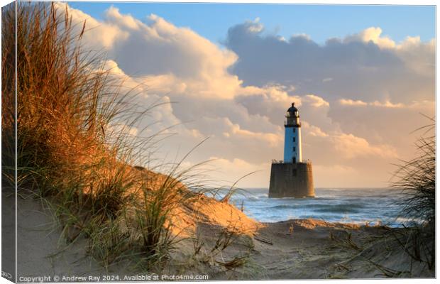 First sunlight at Rattray  Canvas Print by Andrew Ray