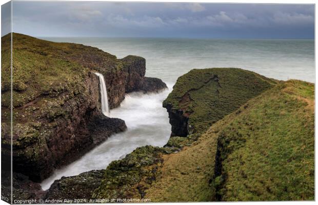 Crawton Waterfall  Canvas Print by Andrew Ray