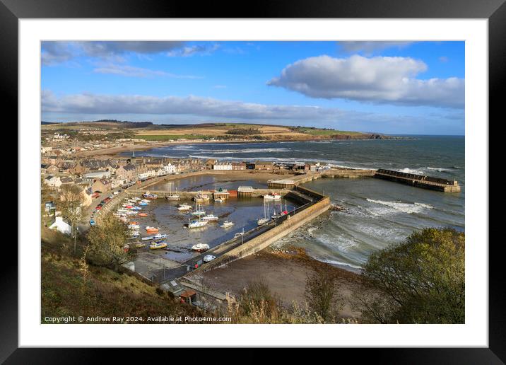 Morning at Stonehaven  Framed Mounted Print by Andrew Ray