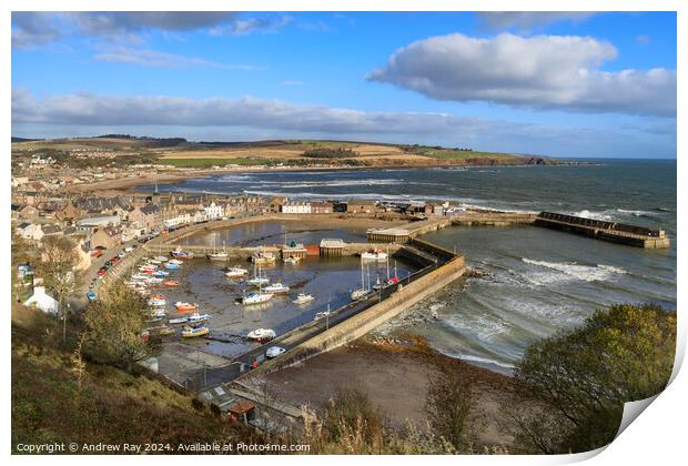 Morning at Stonehaven  Print by Andrew Ray