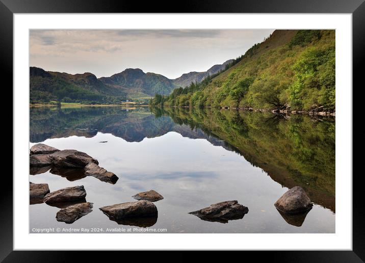 Refections at Llyn Crafnant  Framed Mounted Print by Andrew Ray