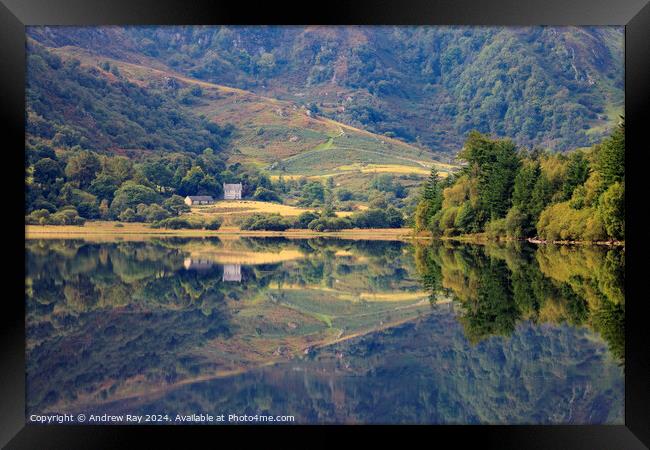 Llyn Crafnant reflections Framed Print by Andrew Ray