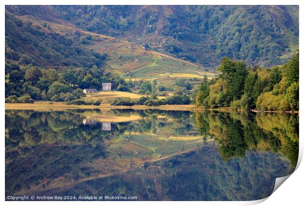 Llyn Crafnant reflections Print by Andrew Ray