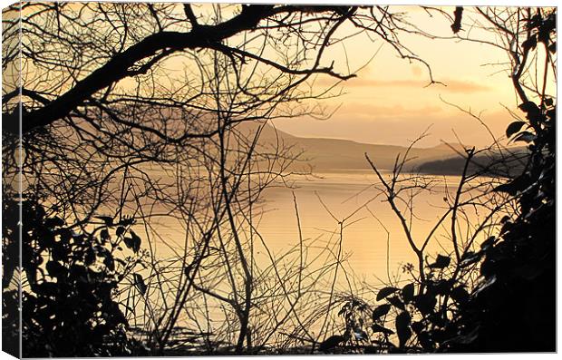 Morning in Dingle Canvas Print by barbara walsh