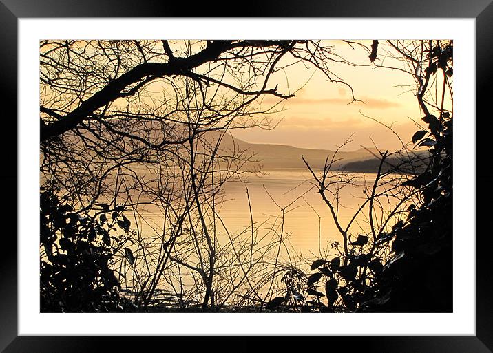 Morning in Dingle Framed Mounted Print by barbara walsh