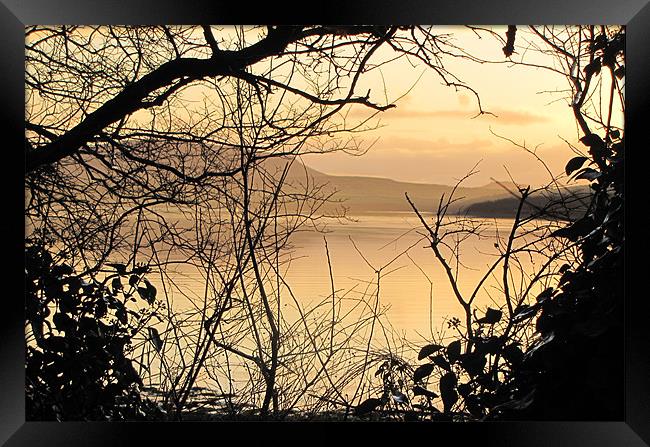 Morning in Dingle Framed Print by barbara walsh