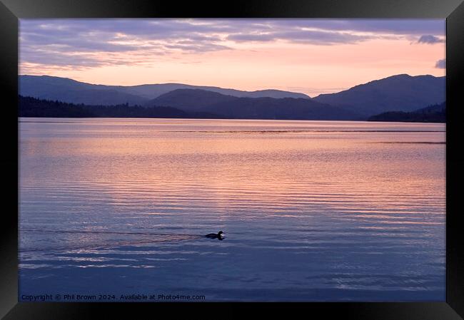Lonely sunset for a duck on Windermere Framed Print by Phil Brown