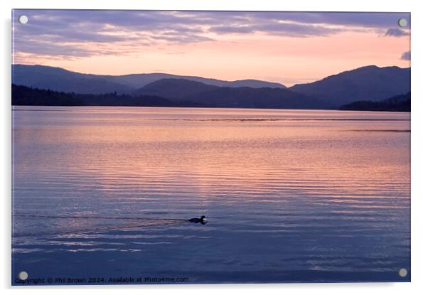 Lonely sunset for a duck on Windermere Acrylic by Phil Brown