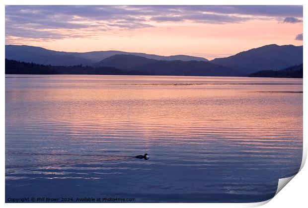 Lonely sunset for a duck on Windermere Print by Phil Brown