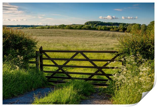 Field gate into pasture. Print by Phil Brown
