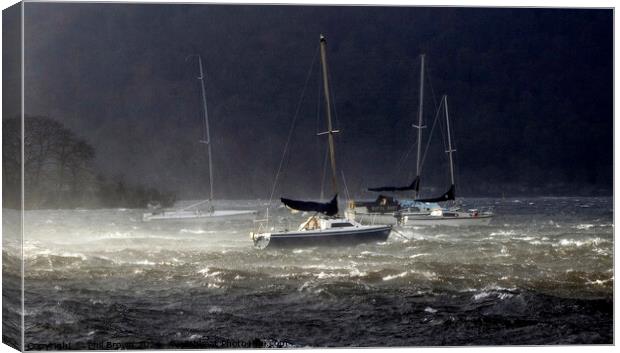 Storms on Windermere for moored yachts. Canvas Print by Phil Brown
