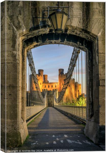 Conwy Castle Arch  Canvas Print by Andrew Ray
