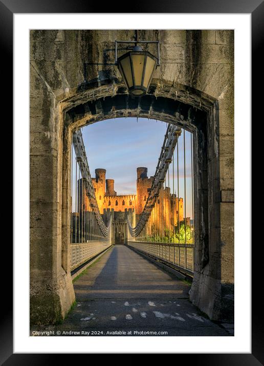 Conwy Castle Arch  Framed Mounted Print by Andrew Ray
