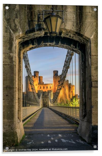 Conwy Castle Arch  Acrylic by Andrew Ray