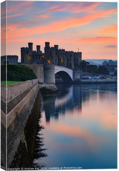 Conwy Castle at sunset Canvas Print by Andrew Ray