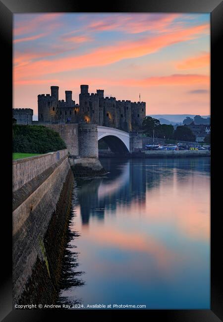 Conwy Castle at sunset Framed Print by Andrew Ray