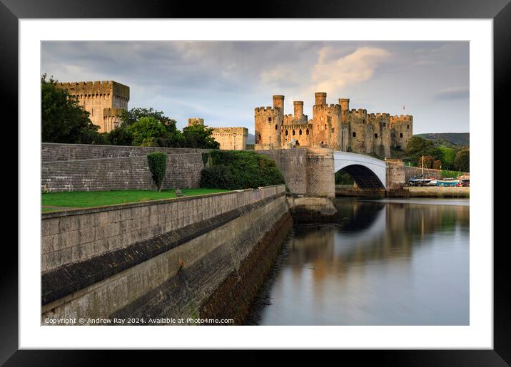 First light on Conwy Castle  Framed Mounted Print by Andrew Ray