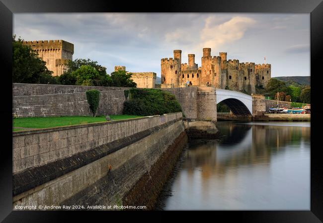 First light on Conwy Castle  Framed Print by Andrew Ray