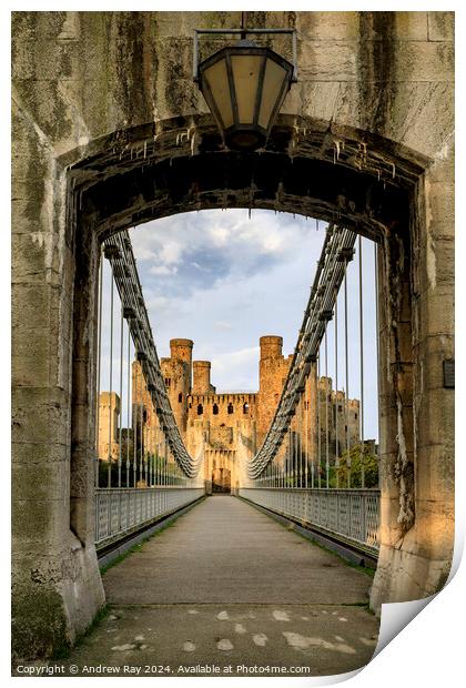Conwy suspension bridge  Print by Andrew Ray
