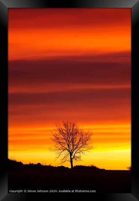 Tree silhouette sunrise Framed Print by Simon Johnson
