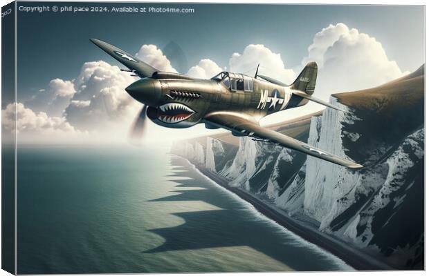 Curtis P-40 Warhawk Canvas Print by phil pace