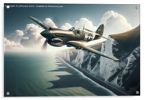 Curtis P-40 Warhawk Acrylic by phil pace