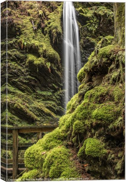 The Sometime Waterfall Hiding Canvas Print by Ronnie Reffin