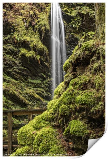 The Sometime Waterfall Hiding Print by Ronnie Reffin
