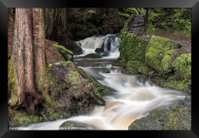 The Start Of Pucks Glen Framed Print by Ronnie Reffin