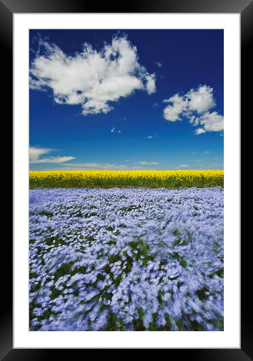 Wind in the Crop Framed Mounted Print by Dave Reede