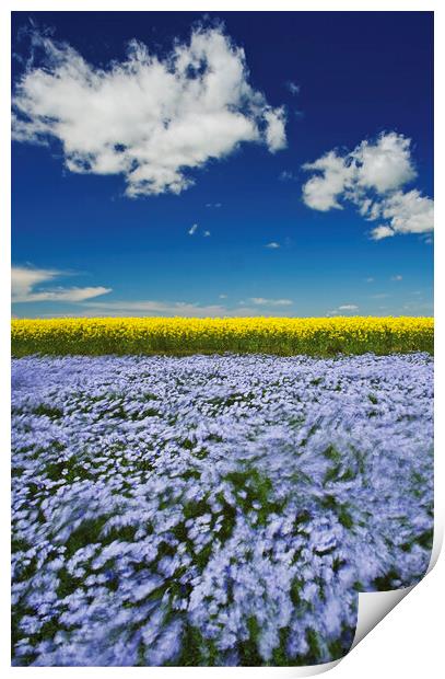 Wind in the Crop Print by Dave Reede