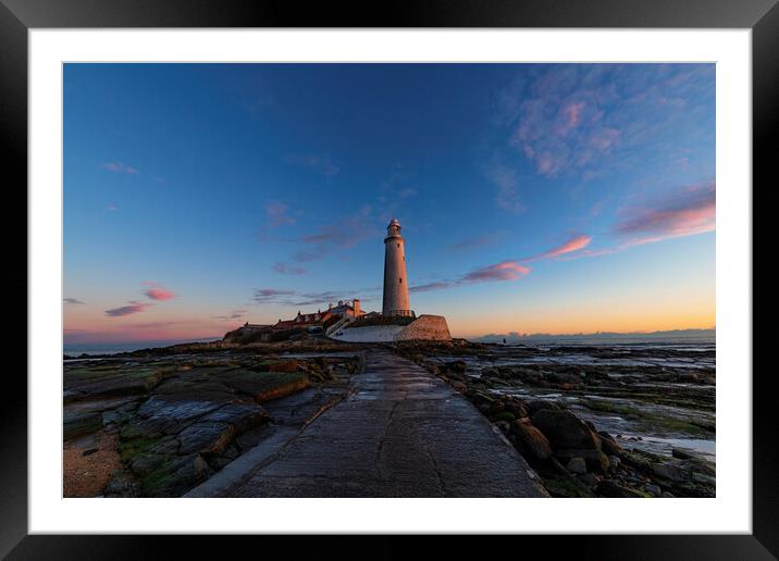St Mary's Lighthouse Framed Mounted Print by Rob McAvoy